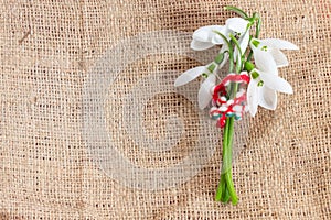 Martenitsa - traditional Bulgarian custom - fabric with snowdrops