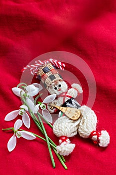 Martenitsa - traditional Bulgarian custom - red background with snowdrops