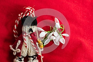 Martenitsa - traditional Bulgarian custom - red background with snowdrops