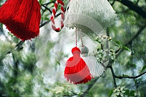 Martenitza on a tree photo