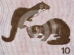 Martens a portrait from Lithuanian money