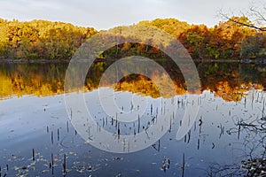 Marthaler park autumn morning of coloful forest and pond reflections