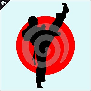 Martial art colored simbol design. Karate emblem. photo