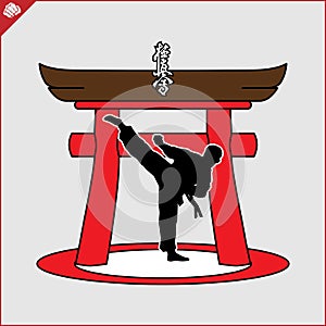 Martial art colored simbol design. Karate emblem. photo