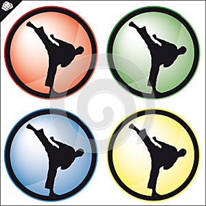 Martial art colored simbol set. Vector.