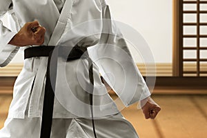 Martial art fighter in dojo
