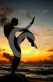 Martial Art figure on beach