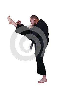 Martial art side kick