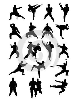 Martial Art Silhouettes photo
