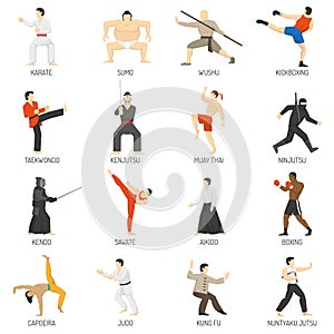 Martial Arts Decorative Flat Icons Set