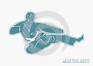 Martial arts fighter