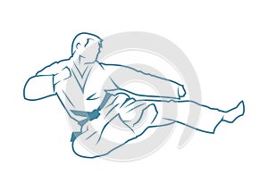 Martial arts fighter