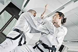 Martial arts fighters