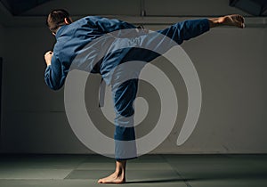 Martial arts high kick exercise