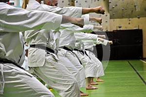 Martial arts karate