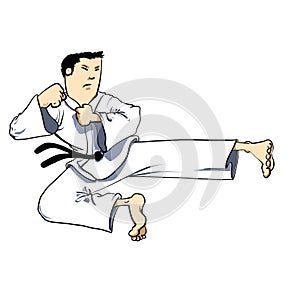 Martial arts - Karate air kick