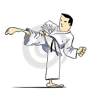 Martial arts - Karate kick