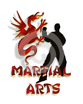 Martial Arts Logo Graphic 3D