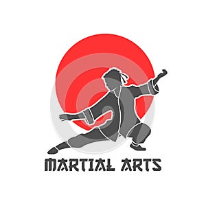 Martial Arts Logo Illustration