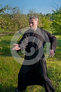 a martial arts master practiing tai Chi in a wild Apple garden