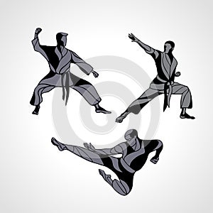 Martial arts poses silhouette. Karate fighters collection