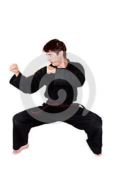 Martial arts position photo