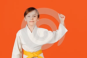 Martial arts, school and training. Boy wearing white kimono and holding his yellow belt