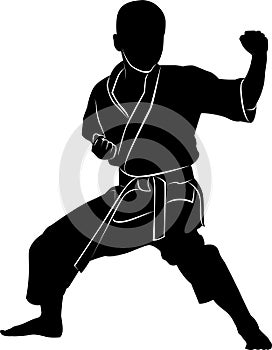 Martial arts silhouette. Karate kick