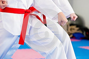 Martial Arts sport training in gym