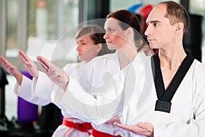 Martial Arts sport training in gym