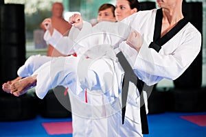 Martial Arts sport training in gym