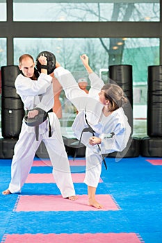 Martial Arts sport training in gym