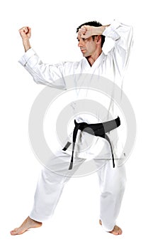 Martial arts stance