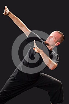 Martial arts teacher in fighting pose