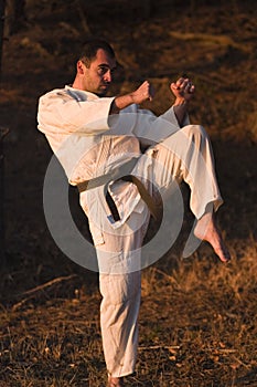 Martial arts training