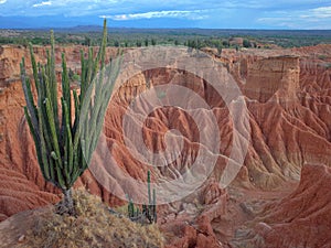 The Martian landscape of Cuzco, the Red Desert, part of Colombia`s Tatacoa Desert.