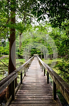 Martin Dies, Jr. State Park