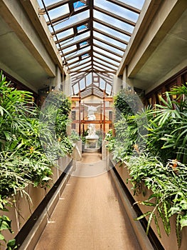 The Martin House by Frank Llyod Wright