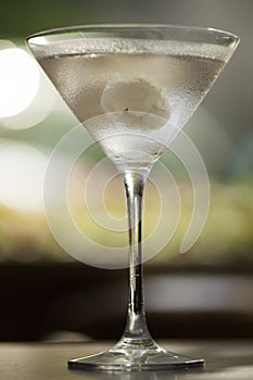 Martini