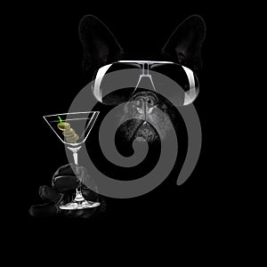 Martini cocktail dog