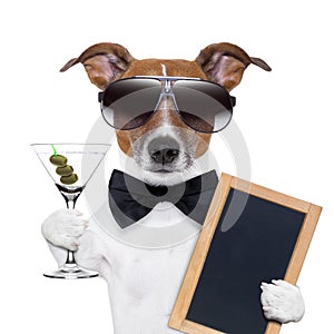 Martini dog