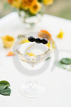 Martini elite alcoholic beverage