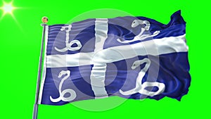 Martinique flag seamless looping 3D rendering video. Beautiful textile cloth fabric loop waving