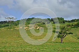 Martinique, picturesque city of Riviere Pilote in West Indies