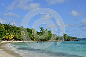 Martinique, picturesque city of Riviere Pilote in West Indies photo