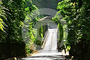 Martinique, picturesque village of Grand Riviere in West Indies