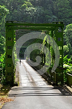 Martinique, picturesque village of Grand Riviere in West Indies