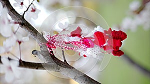 A martisor hanging on a tree branch with