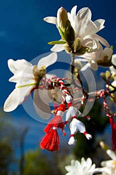 Martisor - Spring Holiday