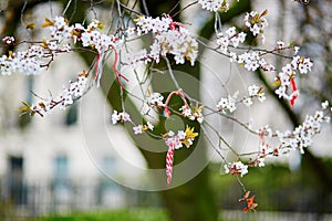 Martisors, symbols of beginning of spring